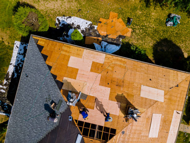 Best Roof Gutter Cleaning  in Whiteville, NC
